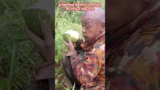 Rahar hoina baadhyata\\viralvideo trending shortvideo youtube love youtubeshorts shortvideo [upl. by Drice]