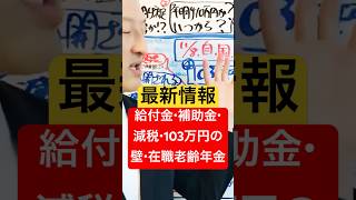 最新情報【給付金・補助金・減税・103万円の壁・在職老齢年金】特別定額給付金10万円の2回目は？現金10万円給付 特別定額給付金2回目 いつから給付開始 [upl. by Rosalinda]