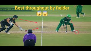 Batsman out by best throughout by the fielder in cricket 😱😱 [upl. by Ahsircal]