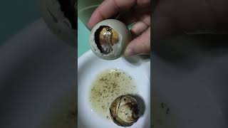 BALUT PENOY MUKBANG ONLY IN THE PHILIPPINES short mukbang balut [upl. by Hendrika]