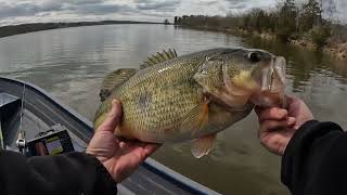 Big Ole Bass Peace Valley Park Bucks County PA [upl. by Ronoh]