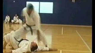 Shotokan Karate Self Defence Demonstration [upl. by Nyrhtak933]