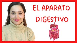 🚑ANATOMIA ESTRUCTURA FISIOLOGIA Y PATOLOGIAS DEL APARATO DIGESTIVO🚑 [upl. by Bedelia968]