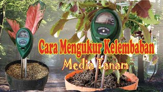 Cara Mengukur Kelembaban Tanah Dengan Alat 3 Way Meter Moisture Light PH Meter [upl. by Dustman132]