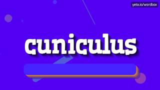 CUNICULUS  HOW TO PRONOUNCE IT [upl. by Gustin42]