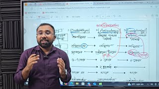 কর্ডাটা পার্ট২ Vertebrata ChondrichthyesActinopterygiiSarcopterygii শ্রেণীর বৈশিষ্ট্য সহজে [upl. by Dillon456]