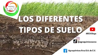 ¿Cuáles son los tipos de suelo [upl. by Aehta]