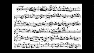 Bach JS violin concerto in A minor BWV 1041 [upl. by Neala568]