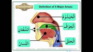 Articulation Points of Arabic Alphabet Letters  Learn Tajweed Rules Makharij al Huruf [upl. by Laine]