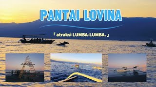 PANTAI LOVINA  Wisata atraksi lumbalumba di laut [upl. by Naitirb]