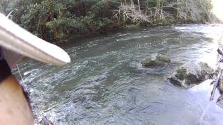 Steelhead Fishing in Oregon [upl. by Bergeron]