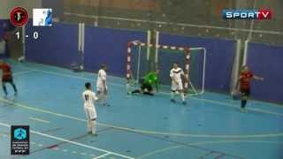 Futsal Les Buts Toulon Tous Ensemble vs Roubaix AFS Résumé Match Championnat de France 2014 [upl. by Annirok78]