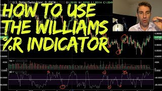 How to Use the Williams R Indicator 📈 [upl. by Ylesara6]