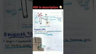 structural organization in animals class 11 notes neetbiology ncertdecode [upl. by Cloris]