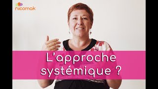 Questce que lapproche systémique [upl. by Alodie]