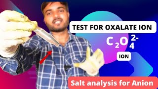 test for oxalate ion C2O42 salt analysis class 11 and 12 saltanalysis lab [upl. by Dennard]