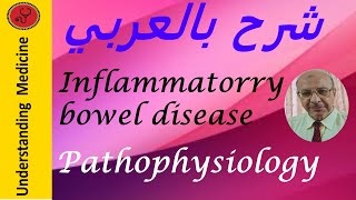 IBD Pathophysiology شرح بالعربي  التهاب الامعاء المزمنباثوفسيولجي [upl. by Lleznol]