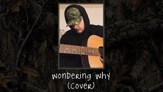 Wondering Why  Red Clay Strays cover [upl. by Allesiram]