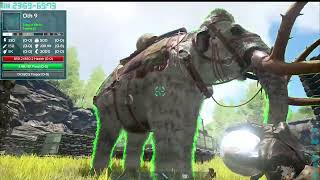 Taming Mammoth In ARK Survival Evolved [upl. by Kera134]