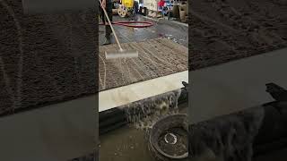 1st Rinse amp Squeegee Talk About Satisfying satisfying squeegee dirt asmr rugasmr rugcleaning [upl. by Ovid]