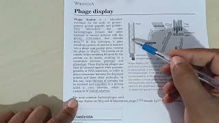 Basics of Phage Display [upl. by Bonnibelle]