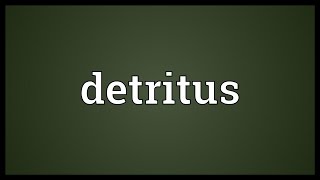 Detritus Meaning [upl. by Grant]