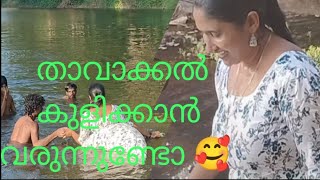 എന്നോടൊപ്പം വരുന്നുണ്ടോ കുളിക്കാൻ 🤭 [upl. by Yecies]