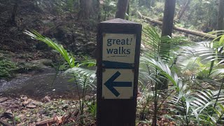 Conondale Range Great Walk [upl. by Atworth473]