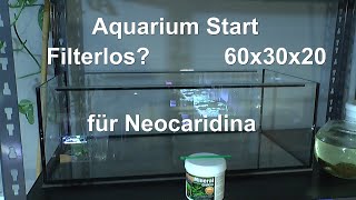 Neues Aquarium 60 30 20 Aquaristik Starten welcher Bodengrund und Garnelen Aquaristikgespräch Marmor [upl. by Ztnaj]