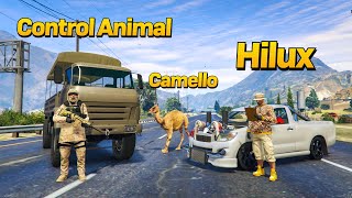 Usamos Mi Hilux Para Arrebatar Los Camellos A Control Animal Gta Rp [upl. by Simeon]