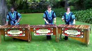 Scatterlings for Africa  African marimba version [upl. by Becca]