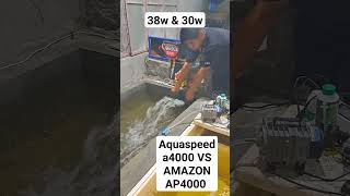 Aquaspeed A4000 24w VS AMAZON AP4000 20w [upl. by Seaden159]