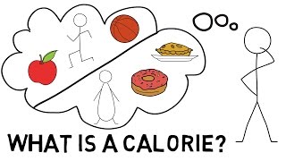 What Is a Calorie [upl. by Deelaw965]