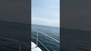 Summer Sailing Vibe  Sailing Odyssey season4 lakeontario catalinasailboat shorts [upl. by Cesare]