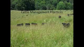 How I have Extended My Grazing Season [upl. by Lepper26]