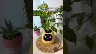 Plants have emotions ☺️🪴 aiplanter plants planter plantlove houseplants [upl. by Ashlie]