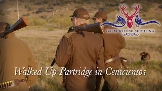 Walked Up Partridge Shooting in Spain [upl. by Viveca]