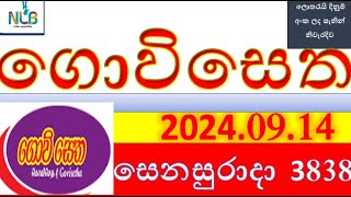 govi setha 3838 Result 20240914 ගොවි සෙත ලොතරැයි Lotherai3839NLB ලොතරැයිලොතරැයි [upl. by Joice]