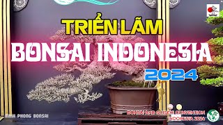 Triển lãm Bonsai Indonesia 2024 [upl. by Ydisac]