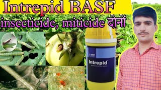 basf intrepid insecticide। intrepid insecticide acaricide । intrepid insecticide basfintrepid [upl. by Adrahc484]