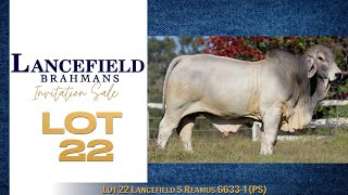 Lot 22 Lancefield S Reamus 66331 PS [upl. by Ahtamas]