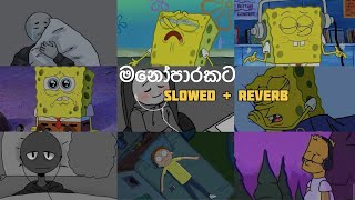 මතක අවුස්සන මනෝපාරකට  Slowed and Reverb Songs  manoparakata sindu playlist 7 [upl. by Benyamin232]