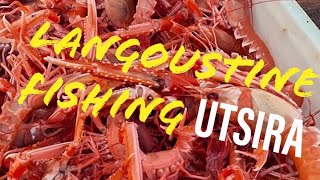 Langoustine Fishing Utsira [upl. by Adnarim]