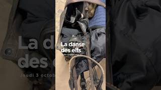 Le beau cadeau de Goldie ahah cheval shortswithzita vlog entresesoreilles [upl. by Ecirehc]