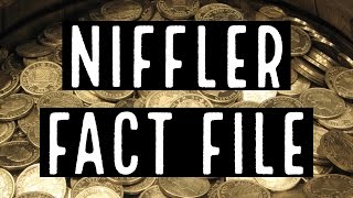 Niffler Fact File  5 Facts about Nifflers [upl. by Samul]