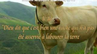 Sourate AlBaqara La vache abdelbasset abdessamad la plus belle voix quotLe Prophète Moïsequot [upl. by Carboni]