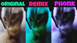 Chipi Chipi Chapa Chapa Original vs Phonk vs Remix All Version [upl. by Allecnirp]