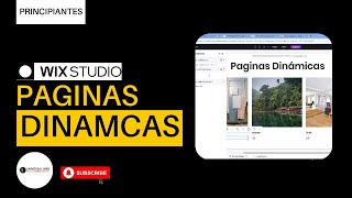 Como usar PAGINAS DINAMICAS en Wix Studio  Tutorial  Principiantes  SIN CODIGO [upl. by Tessi263]