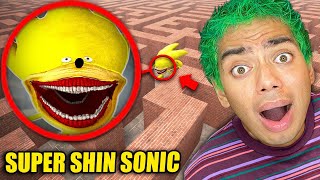 Drone Catches SUPER SHIN SONIC in a MAZE  SHIN SONIC IS REAL [upl. by Valley91]