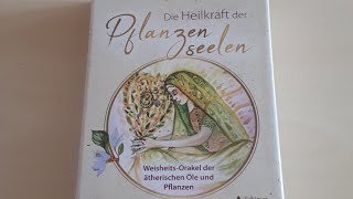 Die Heilkraft der Pflanzenseelen💪🌿🌸 25 Februar 2023 [upl. by Notslar]